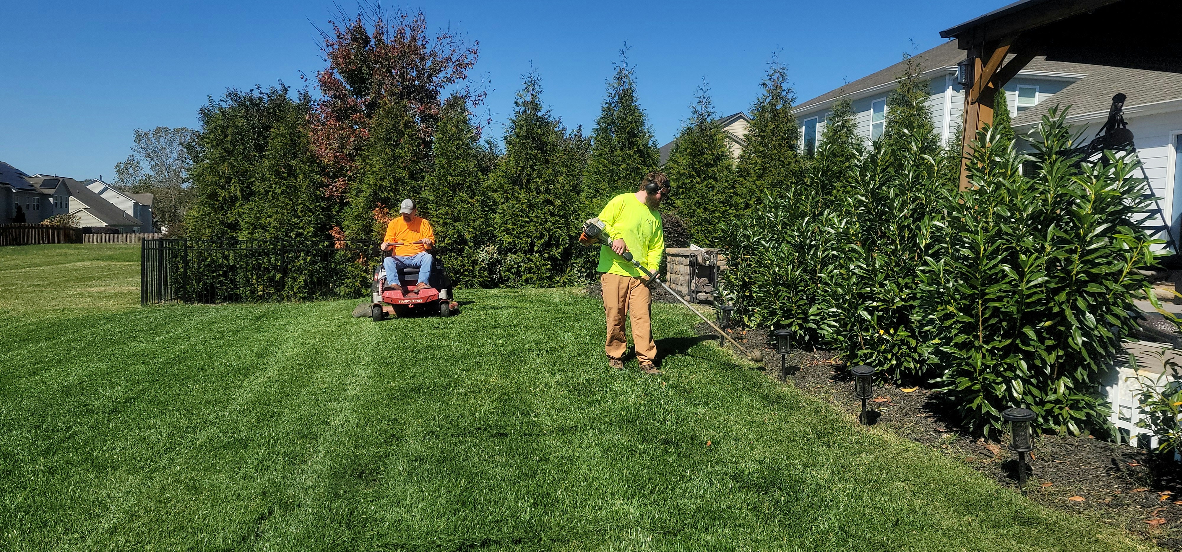 Before and after: brush removal and lawn restoration project