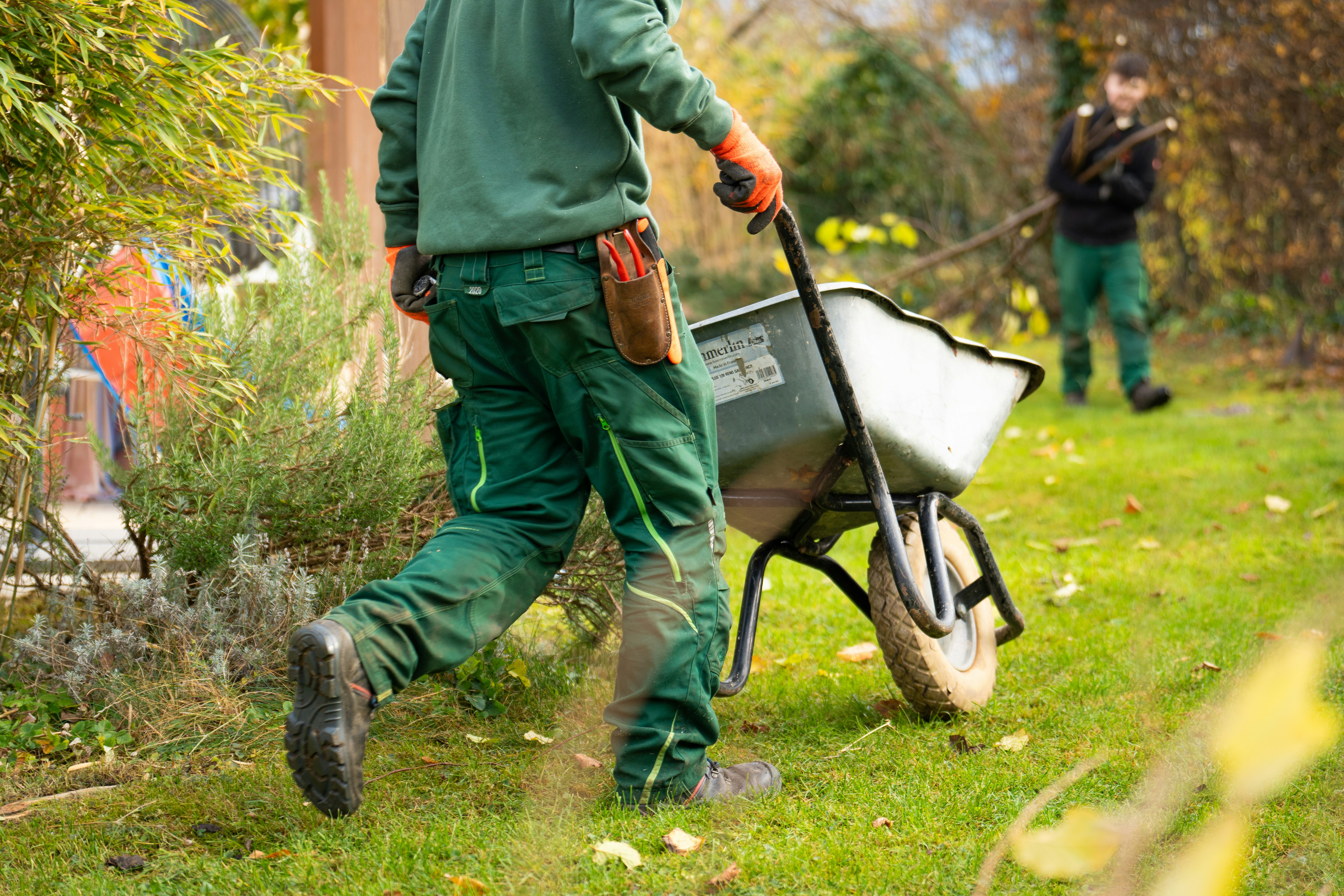 Fall yard cleanup: leaves cleared and lawn restored