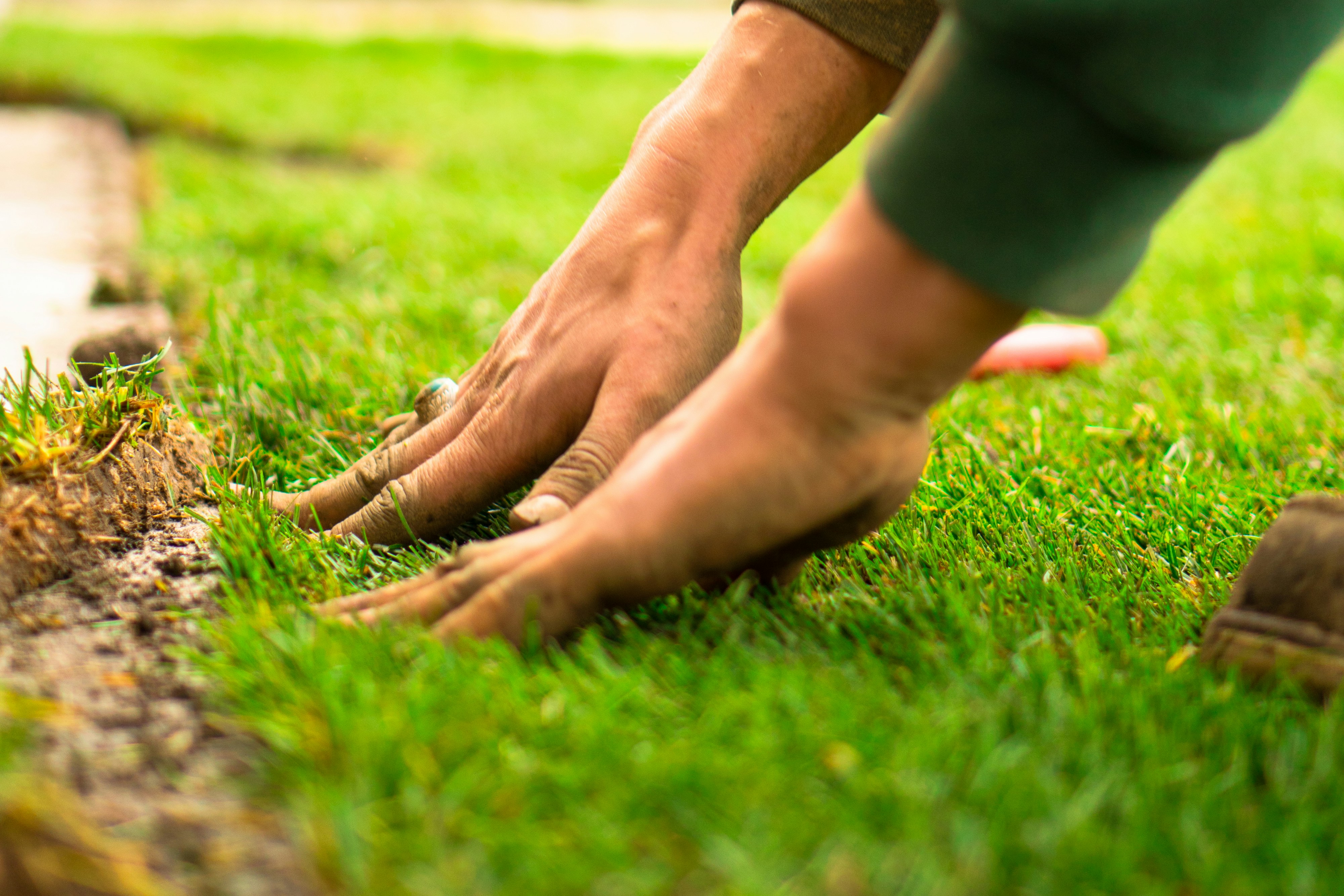 Spring yard cleanup with trimmed hedges and refreshed beds