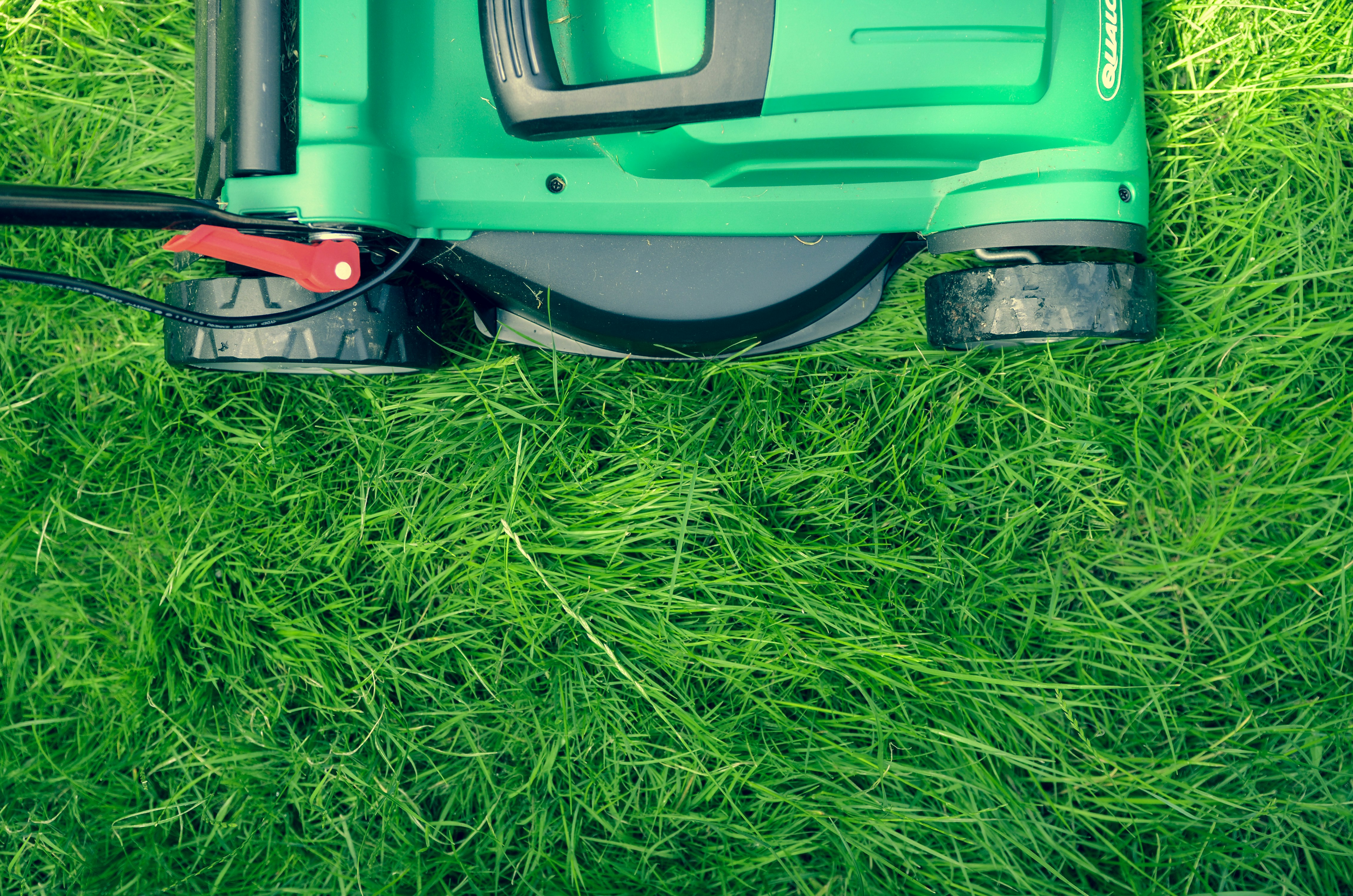 Striped lawn pattern after professional mowing service
